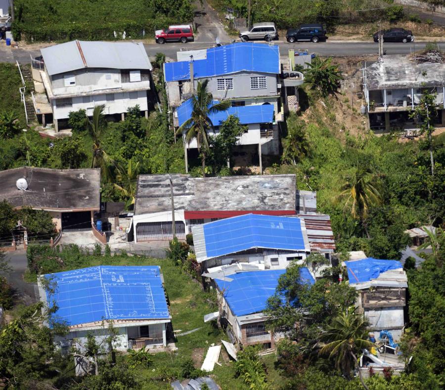 Blue FEMA tarps covering damaged roofs by Hurricane María.